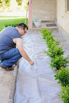 a man kneeling down next to a green plant on a cement slab in front of a house