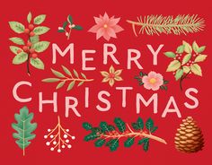 a merry christmas card with pine cones, holly leaves and other holiday decorations on a red background