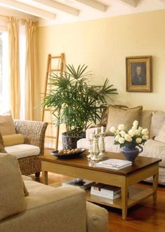 a living room filled with furniture and a potted plant on top of a coffee table