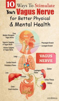 Nervus Vagus, Nerve Health, Health And Fitness Magazine, Sciatic Nerve Pain, Vagus Nerve, Daily Health Tips, Health Magazine, Good Health Tips, Nerve Pain