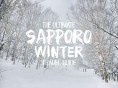 the ultimate sapporo winter travel guide