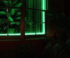 a window with green lights shining through it