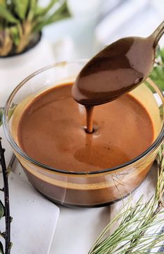 a spoon full of chocolate sauce being poured into a bowl with greenery in the background