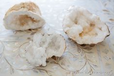 two pieces of coconut sitting next to each other on a glass tablecloth covered surface