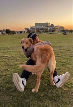 How to Mend A Relationship with Your Dog? (Fixing A Broken Relationship) Avi Angel, Different Dog Breeds, Hacker Aesthetic, Thomas Doherty, Vinnie Hacker, Dog Language, Bad Boy Aesthetic, Cute White Guys, Dog Facts