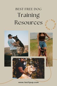 the best free dog training resources for all types of dogs and their owners in one place