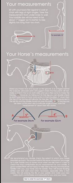 an info sheet showing how to use horses