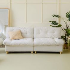 a white couch sitting in front of a mirror next to a potted green plant