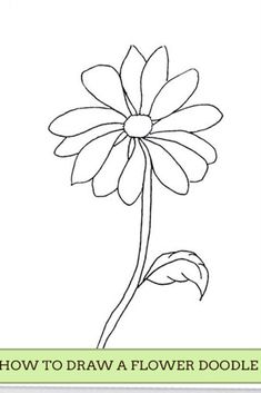 a flower with the words how to draw a flower doodle