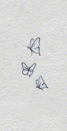 three butterflies are flying in the sky