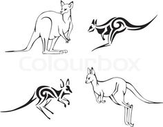 four different kangaroos in black and white