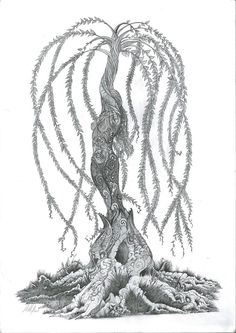 a drawing of a tree with lots of leaves on it's trunk and branches in the air