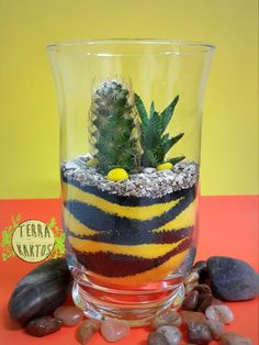 a glass vase filled with rocks and a small cactus