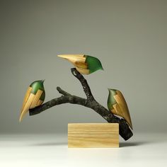 three birds sitting on top of a tree branch with two green leaves sticking out of it