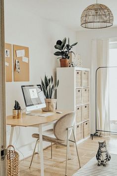 a cat sitting on the floor in front of a desk