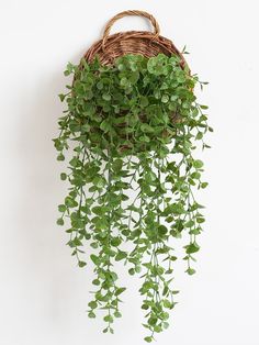 a wicker basket filled with green plants hanging from it's side on a wall