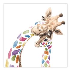 two giraffes that are standing next to each other on a white background