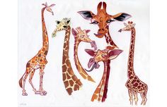 three giraffes are standing next to each other on a white background,