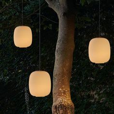 four lights hanging from a tree in the night time, one is white and the other is yellow