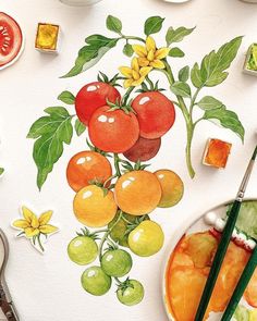 watercolor painting of tomatoes and cherries on white paper with paintbrushes next to them