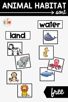 an animal habitat sort with pictures and words