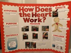 a poster on how does the heart work? with pictures and instructions for making it