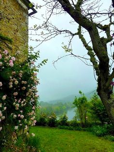 an open door leading to a lush green yard with flowers growing on the side of it