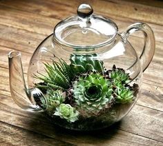 a glass tea pot filled with succulents on top of a wooden table