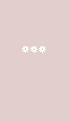 three daisies on a light pink background