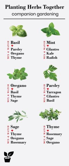 a poster with different types of herbs and their names in english, spanish, and french