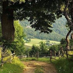 a dirt path leading to a lush green hillside