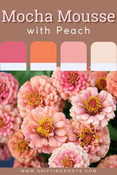 pink and orange flowers with the words mochamouse with peach