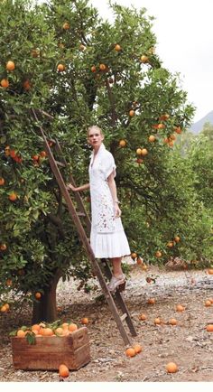 a woman in white dress standing next to an orange tree filled with ripe oranges