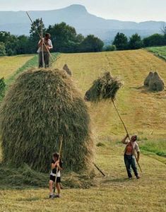 three people standing on top of a hay bale in the middle of a field