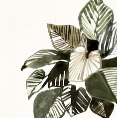 a painting of some leaves on a white background with black and green colors in the center