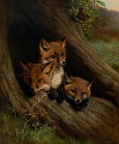 an oil painting of three foxes in a tree trunk