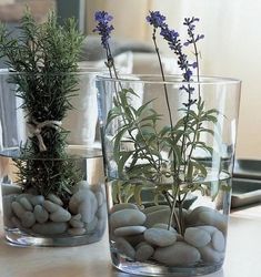 two vases filled with rocks and plants on top of a table