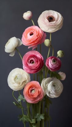 an arrangement of flowers in a vase on a gray background, with one large pink and one small white flower