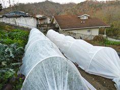 several greenhouses are lined up in front of a house with mountains in the background