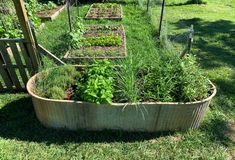 a garden filled with lots of different types of vegetables and plants in an oval metal planter