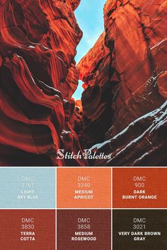 an image of the color palettes used in this project are red, orange, and blue