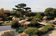 a small pond surrounded by rocks and trees