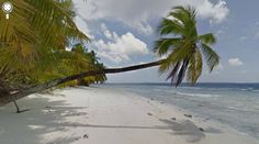 a palm tree leaning over the edge of a white sandy beach with blue water and clouds in the background