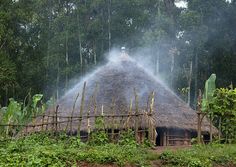 a fire hydrant spewing water on top of a hut in the jungle