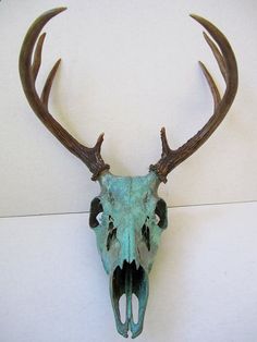 a deer's skull with large antlers mounted to the side of a wall