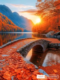 a stone bridge over a body of water surrounded by autumn leaves in the foreground