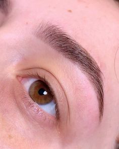 Eyebrow Shape And Tint, Natural Tinted Eyebrows, Perfect Eyebrows Aesthetic, Natural Eyebrow Tint, Eyebrow Inspo Shape, Eyebrow Inspo Natural, Eye Brows Aesthetic, Eyebrows 2023