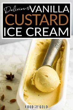 vanilla custard ice cream in a white container with a spoon and star anise on the side