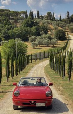 a red sports car driving down a dirt road with trees on both sides and a man in the driver's seat