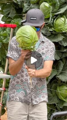 a man with green hair is standing in front of a large bush and holding something